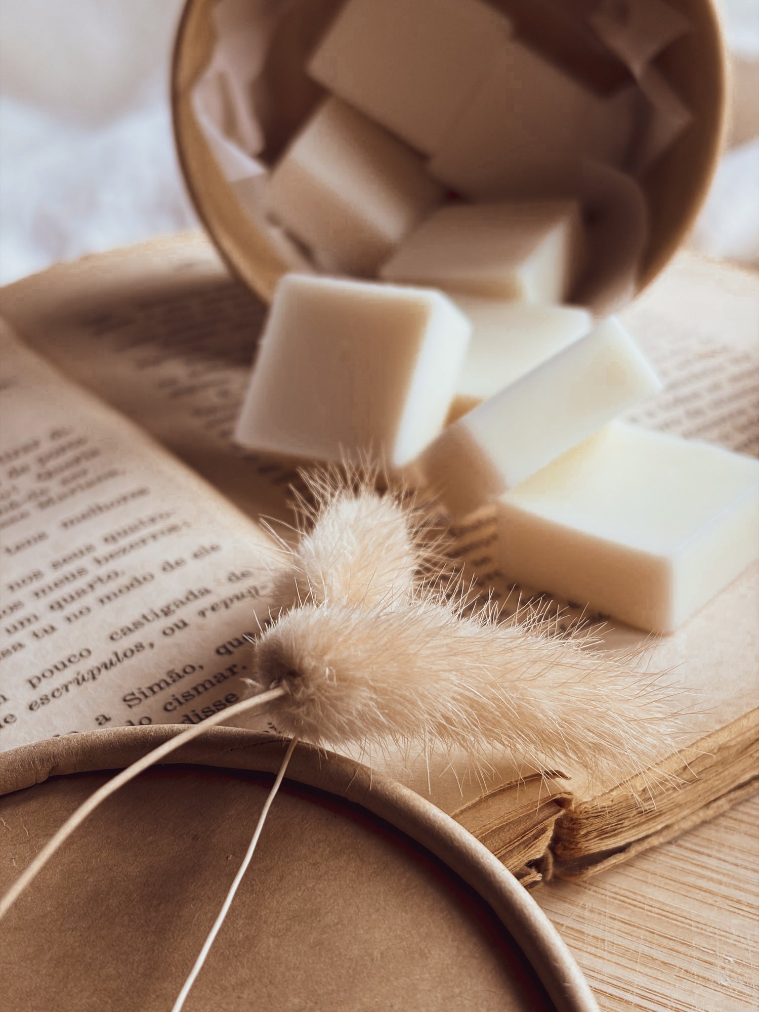 WAX MELTS
